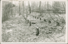 Cmentarz ewangelicki w Mrągowie 1993