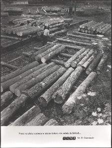 [Składowanie drewna na placu przed tartakiem]