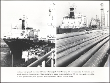 [Port Północny w Gdańsku]