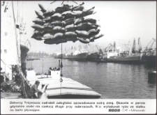 [W gdyńskim porcie]