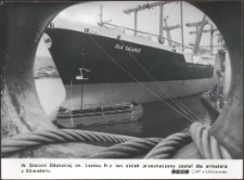 [Stocznia Gdańska im. Lenina]