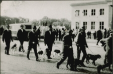 [Wystawa zwierząt hodowlanych w Mrągowie. 1]