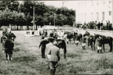 [Wystawa zwierząt hodowlanych. 2]