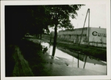 Centrala Nasienna w Mrągowie