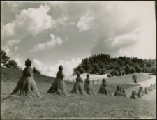 Krajobraz po żniwach