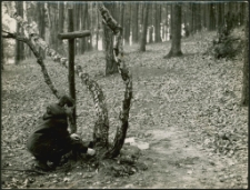 Krzyż w lesie