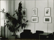 [Galeria w domu kultury w Mrągowie. 9]