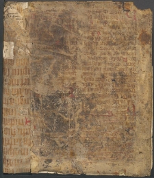 [Księga głosowa mszy i motetów]