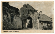 Pocztówka - Pr. Holland [Pasłęk]