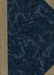 Das Schloss Allenstein