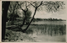 Sensburg, Ostpr. - Schoßsee - Partie am Strandweg