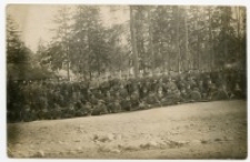 Jednostka wojska polskiego z 1919 r.