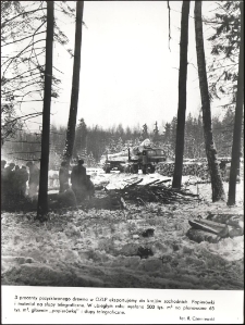 3 procenty pozyskiwanego drewna w OZLP eksportujemy do krajów zachodnich : papierówki i materiał na słupy telegraficzne : w ubiegłym roku wysłano 500 tys. m sześć.na planowane 65 tys. metrów sześć., głównie "papierówkę" i słupy telegraficzne