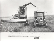 Stado bydła Rolniczej Spółdzielni Produkcyjnej w Tyrowie liczy ponad 250 sztuk : stąd troska jej członków o zgromadzenie odpowiedniej ilości paszy