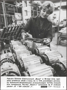 Fabryka SIlników Elektrycznych "Besel" w Brzegu (woj. opolskie) produkuje silniki o mocy do 1,1 KW, posiadające parametry techniczno-eksploatacyjne przewyższające wyroby znanych firm światowych