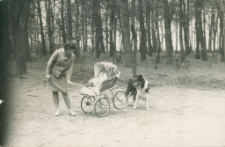 [W Parku Sikorskiego]