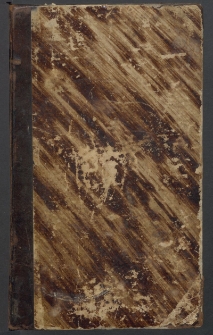 Niewiasty polskie : zarys historyczny