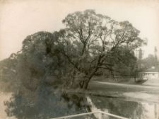 [Brzeg jeziora Czos wiosną 1986 r.]