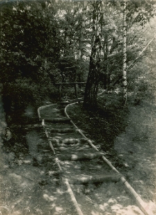 [Ścieżka do Źr&oacute;dełka Miłości]