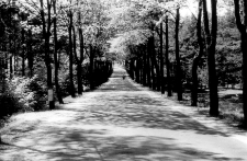 [Droga za Dajtkami koło lotniska w Olsztynie]