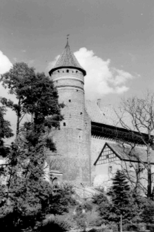 [Zamek w Olsztynie. 1]