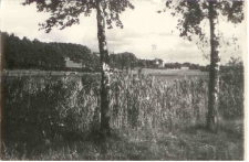 [Jezioro Długie w Olsztynie]