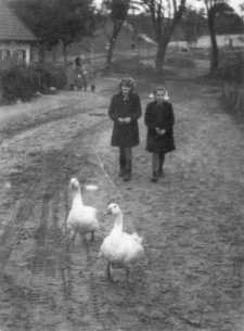 [Droga przy Dworcu Zachodnim w Olsztynie]