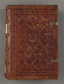 Quaestiones evangeliorum de tempore et de sanctis et Flos theologiae