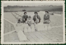 [Kamienna makieta na Polu Bitwy pod Grunwaldem]