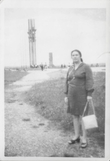 [Pole Bitwy pod Grunwaldem. 2]