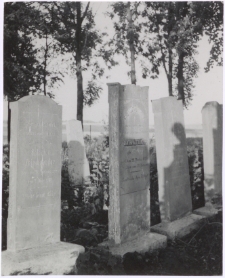 Kirkut w Mikołajkach. [1]