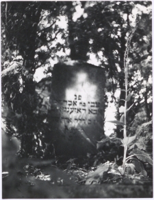 Kirkut w Mikołajkach. [2]