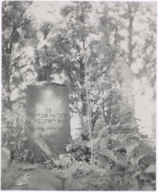 Kirkut w Mikołajkach. [3]