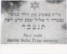 Kirkut w Mikołajkach. [5]