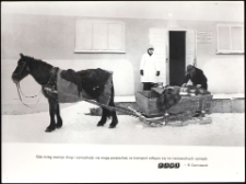 [Transport mleka do skupu w warunkach zimowych]