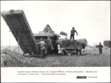 [Rolnicy podczas żniw]