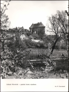 Lidzbark Warmiński - gotycka brama wjazdowa