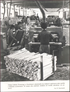 [Zakład Produkcji Drzewnej w Smolnikach]