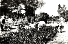 [Czyn społeczny bibliotekarzy. 2]