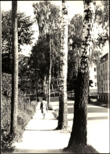 Ulica Lenina w Mrągowie. [2]