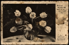 [Kartka z korespondencją]