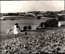 Jezioro Warpuńskie. [1]