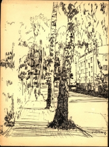 Grafika Wacława Gołowicza. [19]