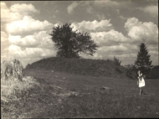 Kurhan w Wyszemborku