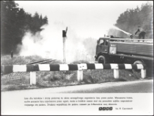 [Gaszenie pożaru w lesie]