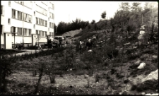 [Nasadzenia zieleni]