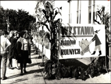 Dożynki w Mrągowie 1972. [5]