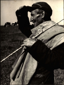 [Zatrzymane w kadrze. 6]