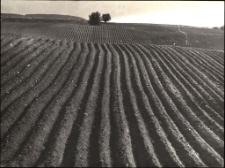 [Zatrzymane w kadrze. 9]