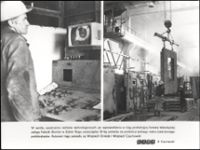 [Fabryka Domów w Żabim Rogu]